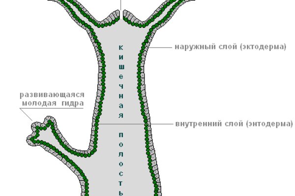 Ссылка омг на тор